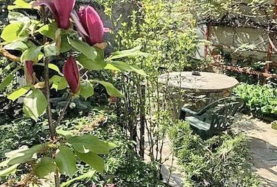 Casa cocheta pozitionata central - 2