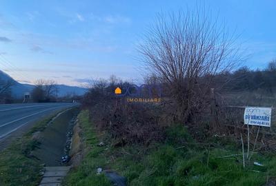 Teren intravilan 4836 mp Mehadia cu Fs la E70 - 9