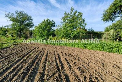 Teren intravilan 4094mp in Satul Soimus din Comuna Soimus, Jud. Hunedoara. - 5