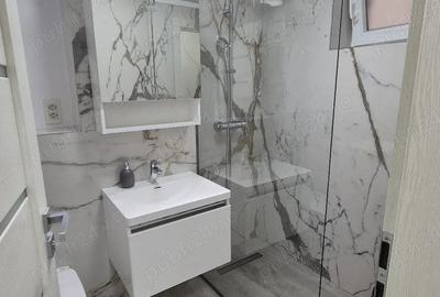 Inchiriere ap 2 camere Gorjului - 3