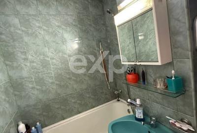 Apartament cu 2 camere semidecomandat, mobilat în Banat - 8