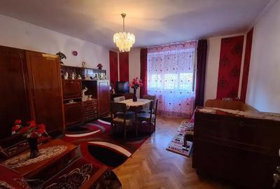 Casă cu 3 camere în Criș - 5