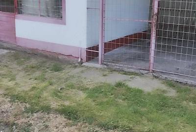 Spațiu comercial, de 20 mp, în Oarja - 5