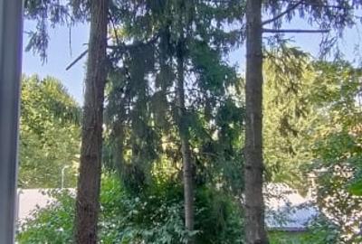 Apartament 3 camere, renovat,bucatarie mobilata,STB Straja la 3 min. - 10