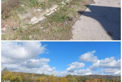 Teren de 3500 mp, în Berevoești - 4