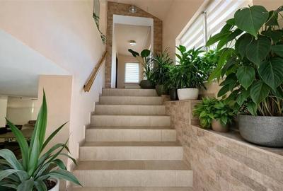 Casa stil,curte,garaj,Central, Brancovenesti,Mures:FILM &Tur Virtual - 10