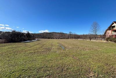 Spațiu comercial, în Călinești