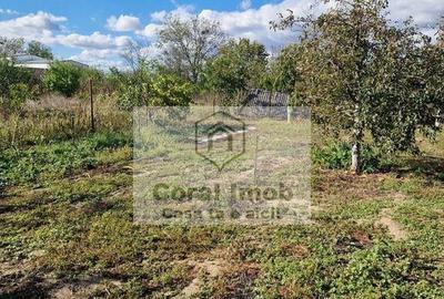 Inchiriere casa comuna 1 decembrie - 4