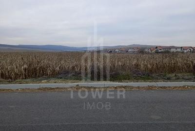 Teren agricol intravilan de 7000 mp, în Șura Mică