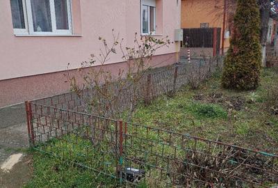 Casă cu 3 camere în Elisabetin - 4