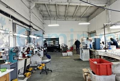 Spațiu industrial, de 1,033 mp, în Rogerius