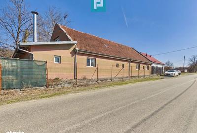 Casă cu 8 camere cu Teren 22919 Mp în Constantin Daicoviciu - 11