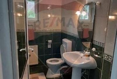 Casă individuală cu 7 camere cu Piscina în Valea Mănăstirii - 10