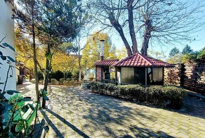 Oportunitate Unică! Casă cu teren, gradina și livadă în Valea Mare-Pitesti - 4