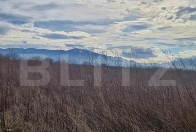 Teren de 1500 mp, în Central