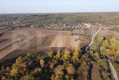 Casă cu 2 camere cu Teren 1000 Mp în Valea - 7