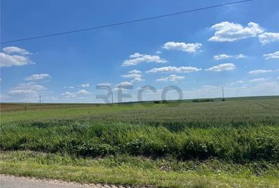 Teren de 10000 mp, în Nojorid - 7