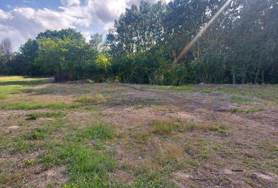 Teren Cerbu - Albota - cu PROIECT CASA si AVIZE - 5