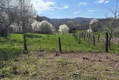 Teren de 376 mp, în Exterior Vest - 5