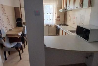Apartament cu 3 camere decomandat în Valea Rosie - 4