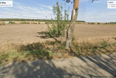 Teren de 10000 mp, în Timișești - 3