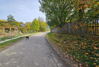 Teren Construcții intravilan de 1081 mp, în Călinești - 3