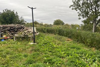 Teren intravilan pe Strada Principală – Faraoanele, Vârteșcoiu - 10