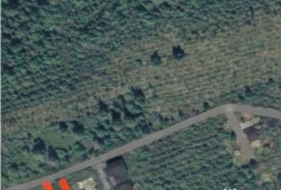 Teren de 4000 mp, în Tăuții-Măgherăuș - 2