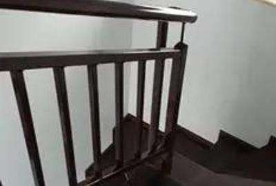 Casă cu Teren 300 Mp în Central - 3