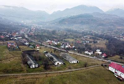 Teren de 8574 mp, în Căpățânenii Pământeni - 7