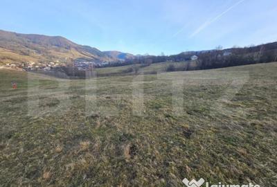 Teren de 16667 mp, în Abrud-Sat - 2