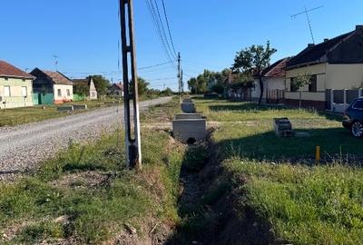 Vând casa in vatra veche sat  Bacova jud.Timiș - 4