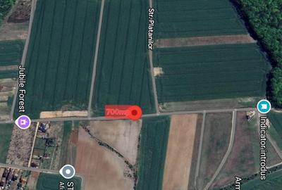 Teren intravilan ultimul lot de 700mp  Izvorani - Padurea Snagov