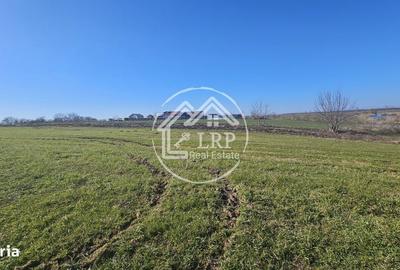 Teren de 646 mp, în Dascălu - 5