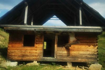 Casă cu 4 camere în Horea - 2