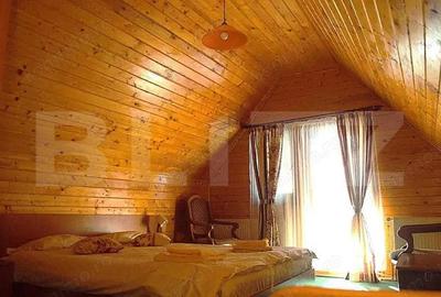 Cabana in Predeal, perfecta pentru turism 7 dormitoare - 3