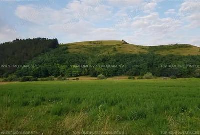 Exclusivitate! Teren intravilan in Luna de sus! - 6