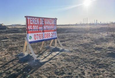 Teren de 15000 mp, în Corbu - 3