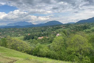 Teren Intravilan panoramic Bran, zona  Bradul Inalt - 4