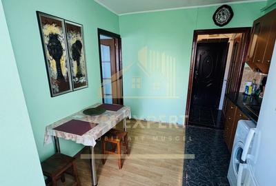 GARSONIERA DECOMANDATA CONFORT 1 ETAJ 4 CAMPULUNG VI?OI - 9