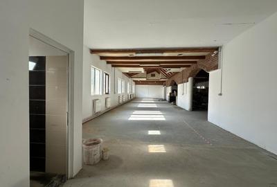 Spatii, vad, birouri, medical, hala, teren, de la 25mp la 500mp, zona ISU Copou - 19