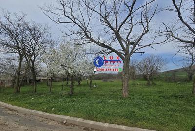 Teren de 3700 mp, în Izvoarele - 1