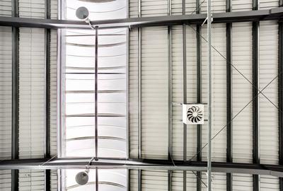 Hală industrială 727 mp Arad - 7