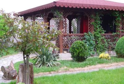 Casă cu 3 camere în Dănești - 10