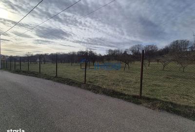 Spațiu comercial, în Drajna - 13