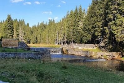 Teren de vanzare la munte pentru  cabana - 4