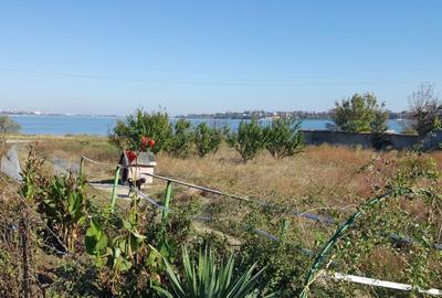 Spațiu comercial, în Sud - 3