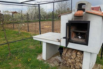 Casă cu 3 camere în Paleu - 3