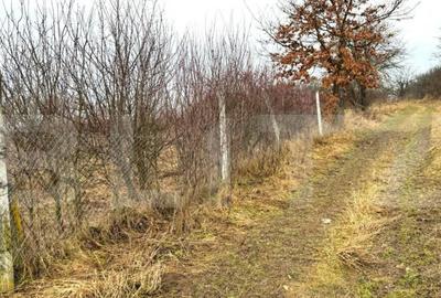 Teren de 2900 mp, în Central - 15