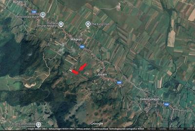 Teren extravilan 9093 mp de vanzare in Josani, com. Magesti - Bihor - 3